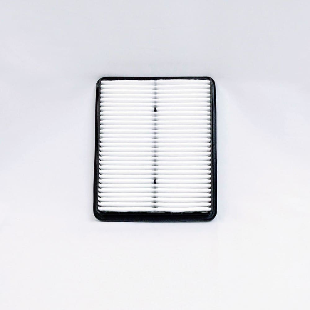 ECOGARD XA6124 Premium Engine Air Filter Fits Hyundai Sonata, Kia Optima, Sorento, Hyundai Santa Fe, Azera, Kia Cadenza - Keuka Outlet