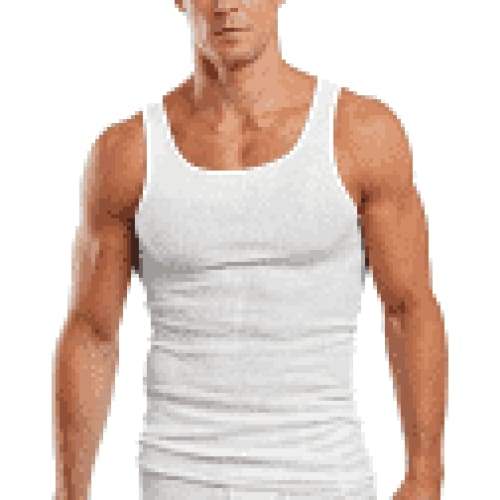 Keuka Outlet - Hanes Ultimate Men's 4-Pack FreshIQ Tank - 043935558284