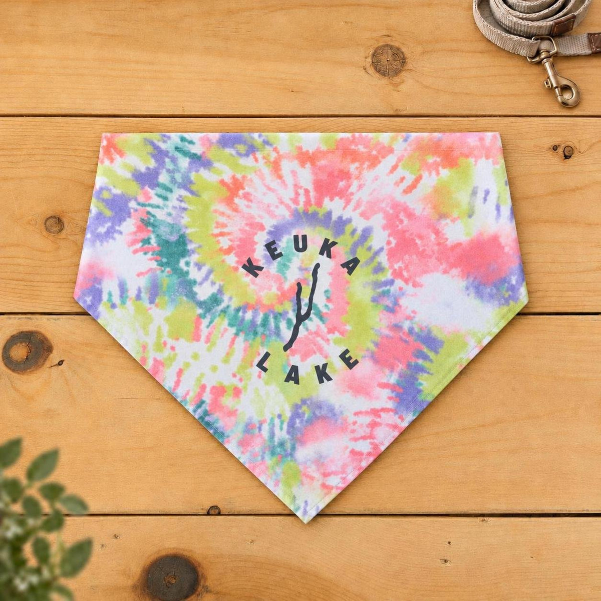 Keuka Lake dog bandana, Pastel Spiral tie-dye pattern