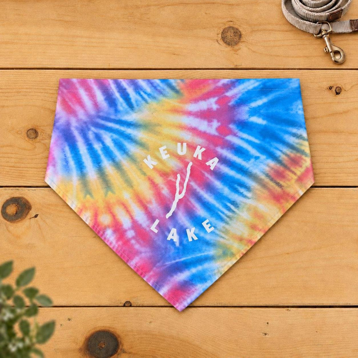 Keuka Lake dog bandana, Rainbow Sherbet tie-dye pattern