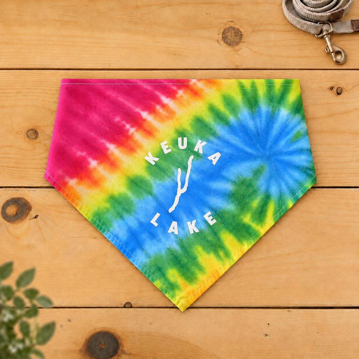 Keuka Lake dog bandana, Rainbow Spiral tie-dye pattern