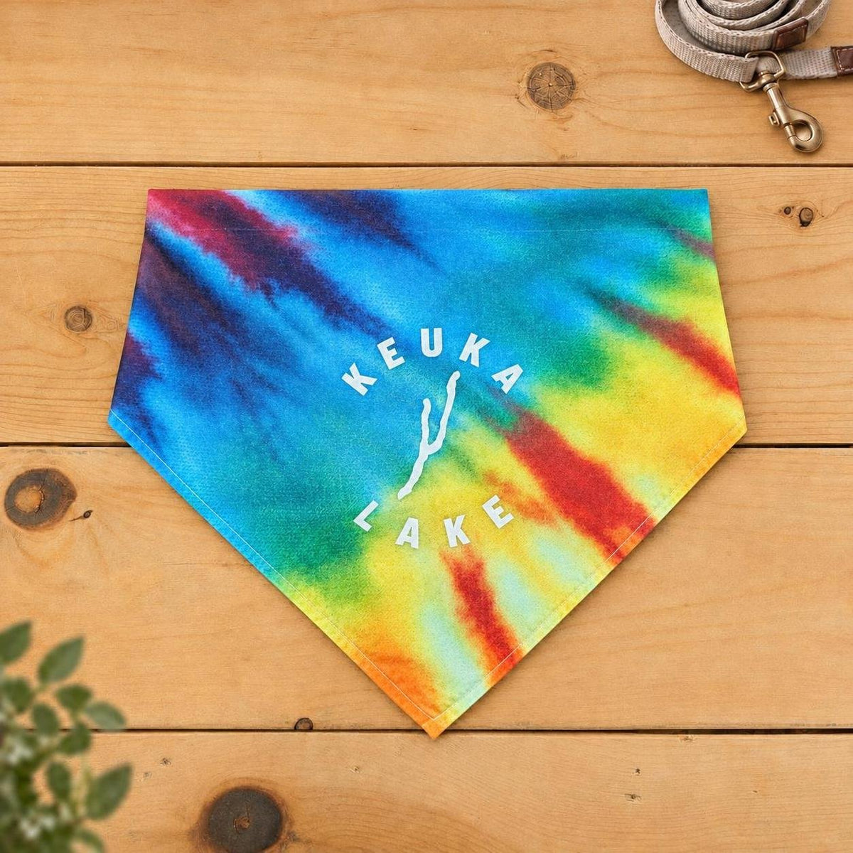 Keuka Lake dog bandana, Rainbow Stripe tie-dye pattern