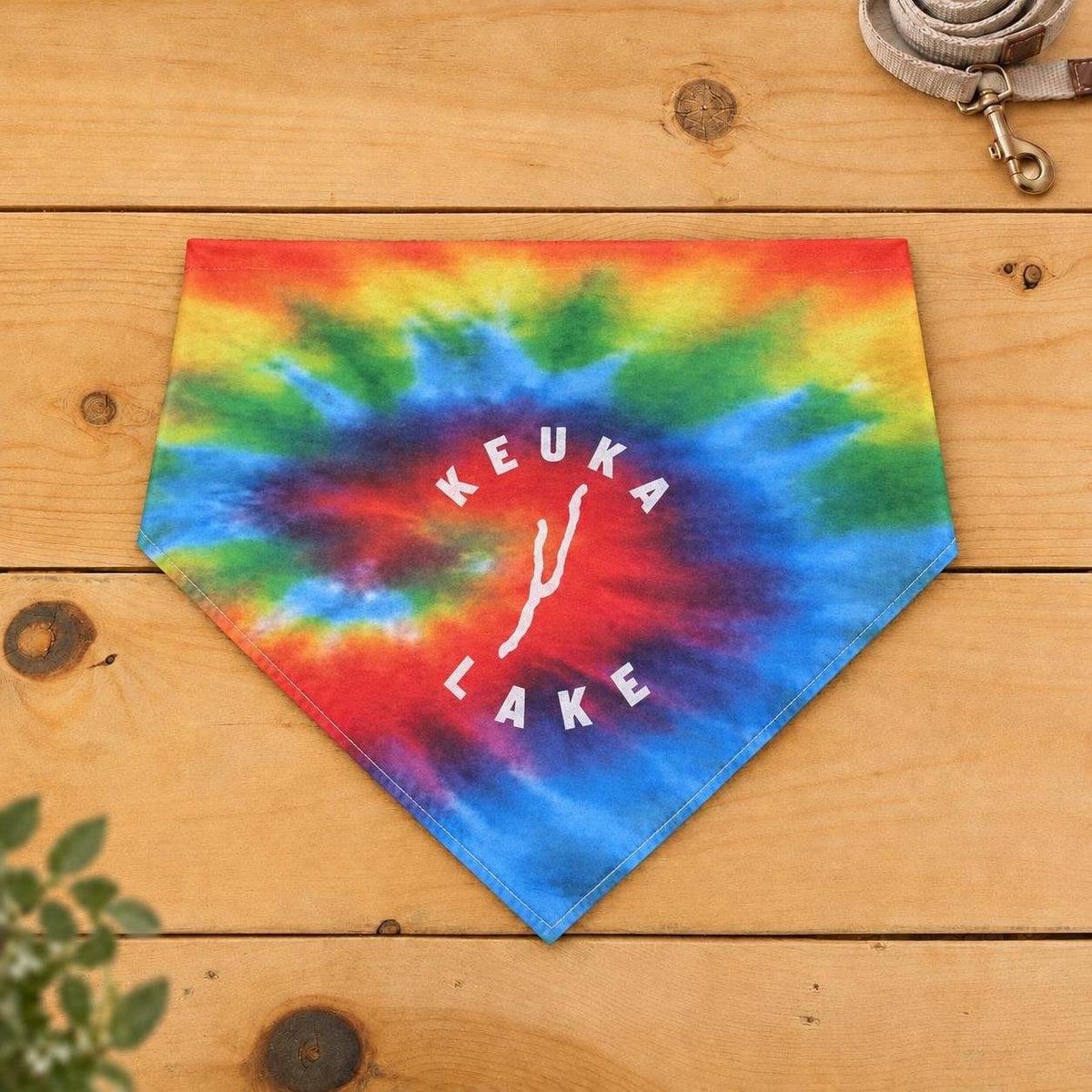 Keuka Lake dog bandana, Rainbow Swirl tie-dye pattern