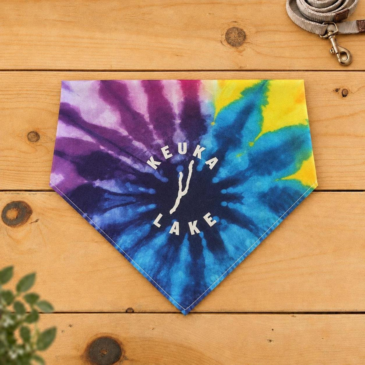 Keuka Lake dog bandana, Violet Spiral tie-dye pattern